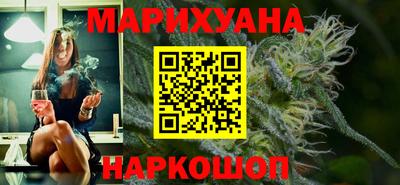 индика Новодвинск