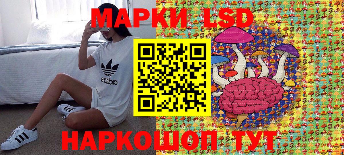 Фрязино  Наркотические марки 1500мкг  Вход с VPN  Наркотические марки 1500мкг 