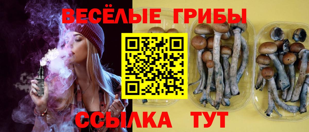 Псилоцибиновые грибы GOLDEN TEACHER  Вход с VPN  Фрязино  Псилоцибиновые грибы Psilocybine cubensis 